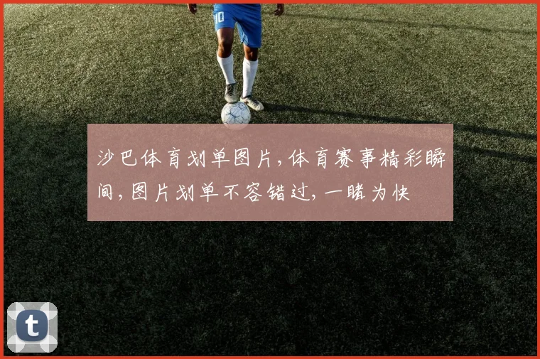 沙巴体育划单图片,体育赛事精彩瞬间,图片划单不容错过,一睹为快