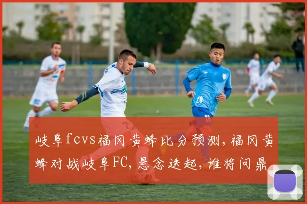 岐阜fcvs福冈黄蜂比分预测,福冈黄蜂对战岐阜FC,悬念迭起,谁将问鼎