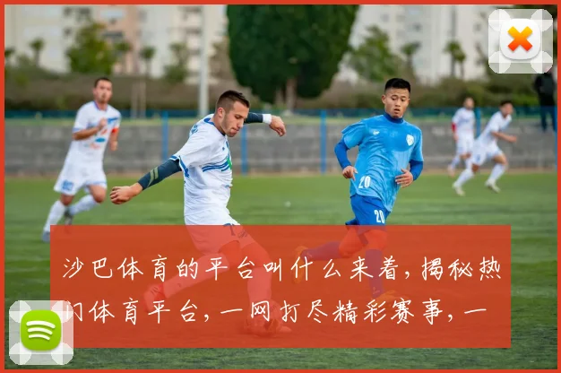 沙巴体育的平台叫什么来着,揭秘热门体育平台,一网打尽精彩赛事,一逗贯穿全局